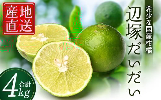 Ӓ˂ 4kg NK-2bʕ k Ӓ˂ ւ Yn lߍ킹 4kg Y VN  lC 9000ʕEt[c̑ ʕEt[c