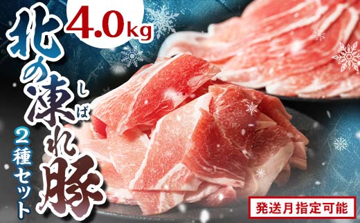 k̓؃XCX2.5kg + ؂ܐ؂ 1.5kg 12 kCY ؓ ؂ א؂ Ԑ؂  e Ԃ Ⓚ  kC\Xʑ F21P-1279kCXʑ18000ؓ