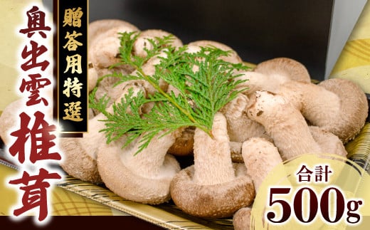 「奥出雲椎茸」贈答用特選 500g【椎茸 生しいたけ 肉厚 収穫直後 新鮮 菌床栽培 国産 旨味たっぷり きのこ キノコ 野菜 料理 食品 贈答用 特選 プレゼント 贈り物 ギフト】島根県奥出雲町10000
