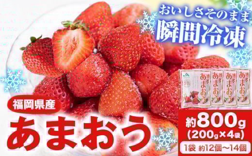 冷凍あまおう 約800g(約200g×4袋) 《1-5営業日以内に出荷予定(土日祝除く)》いちご 福岡県 鞍手郡 小竹町 福岡県小竹町11000果物・フルーツいちご