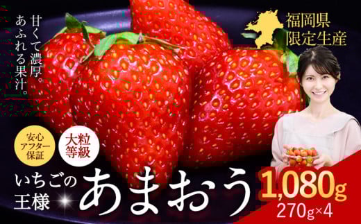 ★2026年出荷分★【先行予約】いちご あまおう 1080g 苺  【着日指定不可】《2月中旬-4月末頃出荷予定》 イチゴ 果物 フルーツ 福岡県 鞍手郡 小竹町福岡県小竹町10000果物・フルーツいちご