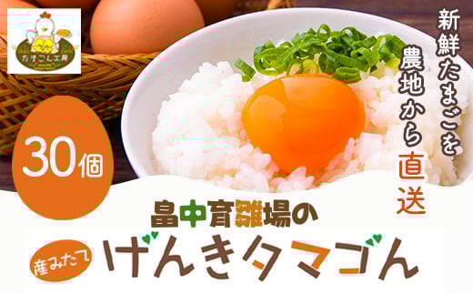 畠中育雛場のげんきタマゴん 30個 《30日以内に出荷予定(土日祝除く)》福岡県 鞍手郡 小竹町 卵  有限会社畠中育雛場福岡県小竹町9000卵・乳製品卵(鶏、烏骨鶏等)
