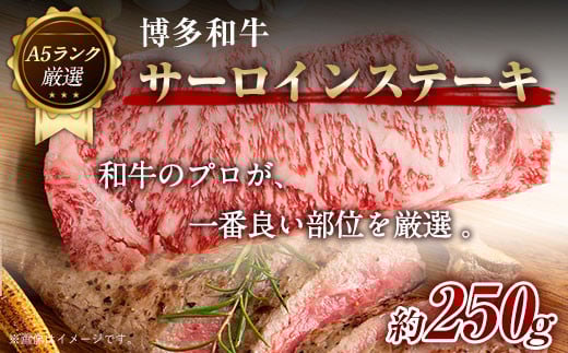 博多和牛サーロインステーキ 250g (250g×1枚)《30日以内に出荷予定(土日祝除く)》小竹町 博多和牛 株式会社MEAT PLUS 牛肉 サーロイン A5ランク のみ使用 厳選福岡県小竹町11500肉牛肉