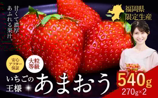 ★2026年出荷分★【先行予約】あまおう いちご 540g 苺  【着日指定不可】《2月中旬-4月末頃出荷》 イチゴ 果物 フルーツ 福岡県 鞍手郡 小竹町福岡県小竹町6500果物・フルーツいちご