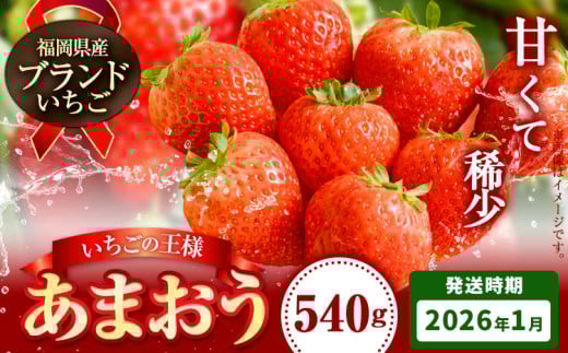 いちご あまおう 先行予約 いちご 大量 540g 選べる発送時期 定期便 フルーツ《2026年1月上旬-1月末頃出荷》苺 旬 くだもの 果物 福岡県 小竹町福岡県小竹町8500果物・フルーツいちご