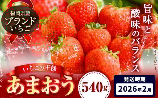 いちご あまおう 先行予約 いちご 大量 540g 選べる発送時期 定期便 フルーツ《2026年2月上旬-2月末頃出荷》苺 旬 くだもの 果物 福岡県 小竹町福岡県小竹町8000果物・フルーツいちご