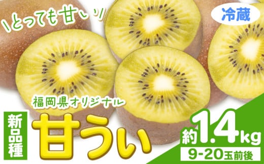 甘うぃ 約1.4kg 9-20玉前後《10月中旬-11月末頃出荷》福岡県 鞍手郡 鞍手町 キウイフルーツ キウイ 福岡県オリジナル 新品種 甘うぃ 果物 くだもの フルーツ【配送不可地域あり】福岡県小竹町1
