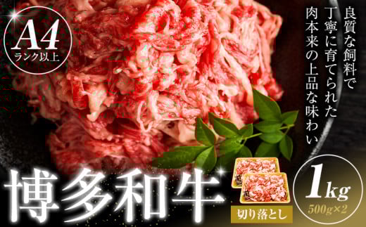 博多和牛 切り落とし 1kg 株式会社木村食品《30日以内に出荷予定(土日祝除く)》小竹町 博多和牛 牛肉 牛丼 肉じゃが 肩ロース 肩バラ モモ 赤身福岡県小竹町16000肉牛肉