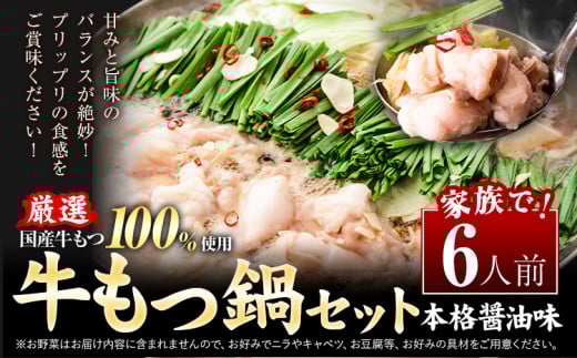 もつ鍋 もつ鍋セット 6人前  本格醤油味 ちゃんぽん付き 国産牛小腸100%使用 《30日以内に出荷予定(土日祝除く)》 牛もつ 唐辛子 ニンニク セット 博多 国産 ヤマタカ醤油 牛 冷凍食品 冷凍