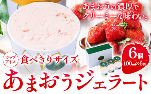 ܂WF[g 100ml×6 썑t[cЁs4{-4oׁt | ܂  WF[g ʕ |16500َqEXC[cACXEWF[g