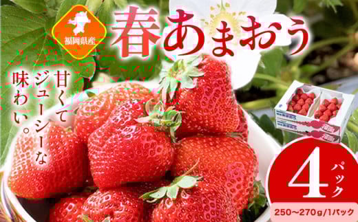 福岡県産 春あまおう 4パック 南国フルーツ株式会社《2月上旬-3月末頃出荷》福岡県 小竹町 あまおう いちご イチゴ 【配送不可地域あり】福岡県小竹町13500果物・フルーツいちご