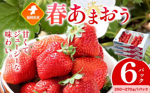 福岡県産 春あまおう 6パック 南国フルーツ株式会社《2月上旬-3月末頃出荷》福岡県 小竹町 あまおう いちご イチゴ 【配送不可地域あり】福岡県小竹町17500果物・フルーツいちご