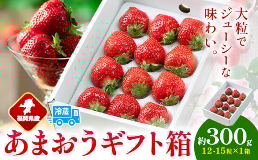 福岡県産 あまおう ギフト箱 約300g 南国フルーツ株式会社《12月上旬-3月末頃出荷》福岡県 小竹町 あまおう いちご イチゴ 【配送不可地域あり】福岡県小竹町13000果物・フルーツいちご