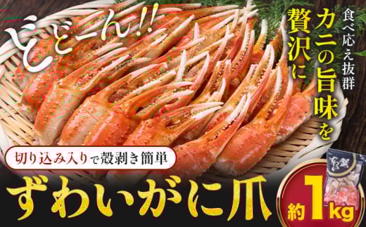 ずわいがに爪 約 1kg《30日以内に出荷予定(土日祝除く)》福岡県 鞍手郡 小竹町 蟹 かに 蟹爪 かに爪 株式会社吉浦コーポレーション福岡県小竹町23000魚介・海産物カニ