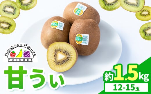 キウイ 甘うぃ 約1.5kg 南国フルーツ株式会社《10月中旬-11月末頃出荷》福岡県 小竹町 あまおう 福岡県産 キウイ フルーツ キウイフルーツ 果物福岡県小竹町12000果物・フルーツその他 果物・
