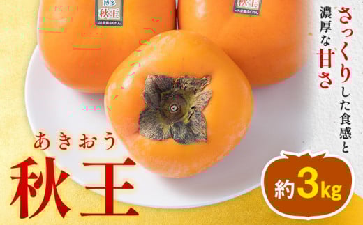柿 秋王 約3kg(8-12玉) 南国フルーツ株式会社 《10月中旬-11月末頃出荷》福岡県 小竹町 福岡県産 柿 フルーツ 果物福岡県小竹町31000果物・フルーツその他 果物・フルーツ