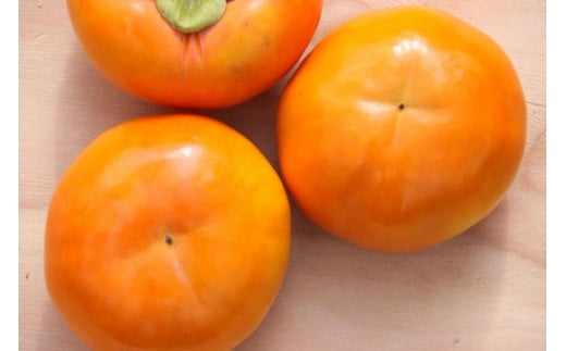 【先行予約:2025年11月下旬〜発送】岐阜県大野町産 富有柿 3L 10個入り岐阜県大野町15000果物・フルーツその他 果物・フルーツ