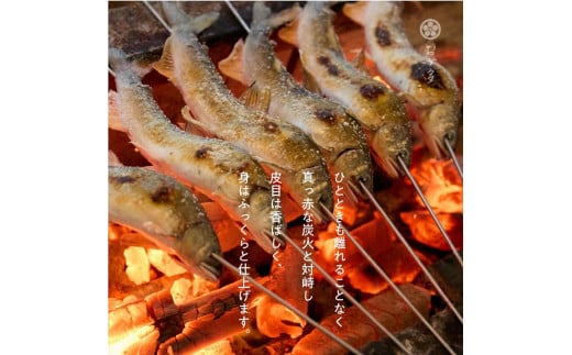 一尾ずつ炭火で丁寧に焼き上げた鮎の塩焼き(4尾)岐阜県大野町13000鍋セット・総菜・加工食品総菜