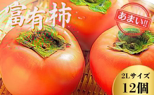 【先行予約】Farm m&aの富有柿 2L×12個 秀品 岐阜県 大野町(2025年11月下旬〜発送)農家直送 果物 フルーツ 秋の味覚 柿 かき 富有 ふゆう岐阜県大野町13000果物・フルーツその他 果物・フルー