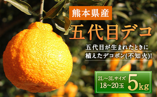 五代目デコ 5kg (18玉〜20玉) 不知火 果物 くだもの フルーツ【2026年2月下旬-6月下旬発送】熊本県水俣市24000果物・フルーツみかん・柑橘類