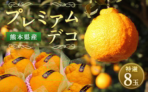 v~AfR 8 sm΁y2026N2{-6{zF{s24000ʕEt[c݂Ek