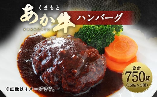 くまもと あか牛 ハンバーグ 150g×5個 計750g 牛肉 100%熊本県水俣市12000肉加工肉(ハム・ソーセージ等)