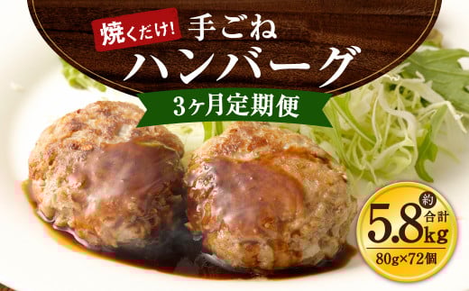 【3ヶ月定期便】手ごね ハンバーグ 約5.76kg(80g×24)×3回熊本県水俣市36000肉加工肉(ハム・ソーセージ等)