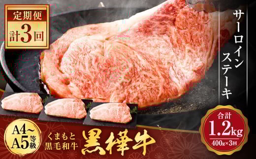 【3回定期便】くまもと黒毛和牛 杉本本店 黒樺牛 A4~A5等級 サーロインステーキ定期便 400g×3回熊本県水俣市65000肉牛肉