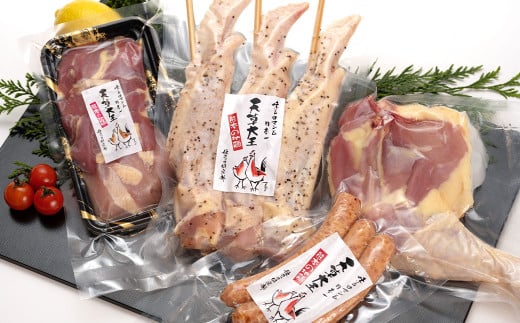 【アウトドアセット】 天草大王 幻の鶏 キャンプ BBQ 骨付きもも肉 (500g) 大手羽先 ソーセージ ブツ切りミックス 計約 1.1kg熊本県水俣市18000肉鶏肉