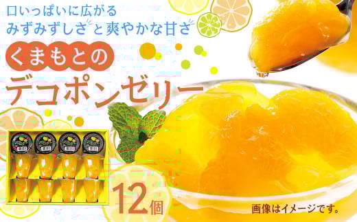 くまもとのデコポンゼリー 130g×12個 デコポン ゼリー 果物 柑橘 フルーツ熊本県水俣市14000菓子・スイーツプリン・ゼリー
