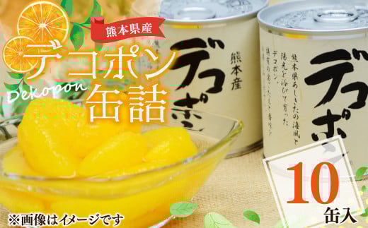 【熊本県産】 デコポン 缶詰 295g×10缶 果物 柑橘 フルーツ熊本県水俣市15000果物・フルーツみかん・柑橘類