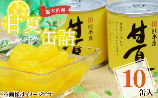 【熊本県産】 甘夏 缶詰 295g×10缶 果物 柑橘 フルーツ熊本県水俣市15000果物・フルーツみかん・柑橘類