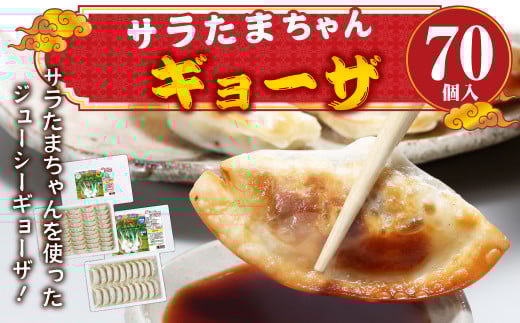 サラたまちゃん ギョーザ 計70個 冷凍熊本県水俣市13000鍋セット・総菜・加工食品総菜
