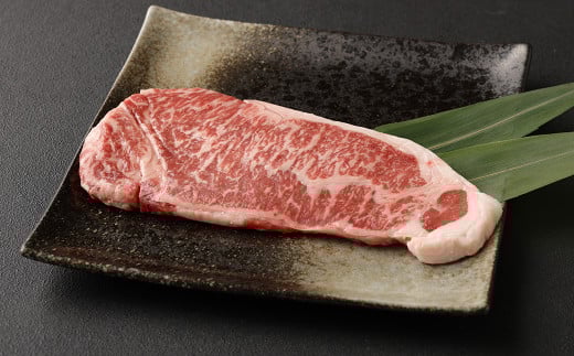 【定期便6か月】 あか牛 サーロイン 肉 1kg(5枚〜6枚)、 馬刺し 300g(赤身100g 霜降り100g たてがみ100g) 食べ比べ セット熊本県水俣市720000肉牛肉