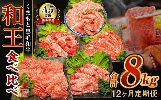 【12ヶ月定期便】 熊本県産 A5等級 黒毛和牛 和王 食べ比べ 合計約8kg 牛肉 セット熊本県水俣市204000肉牛肉
