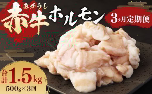 【3ヶ月定期便】 赤牛 ホルモン 500g (250g×2パック) ×3回 牛肉 お肉 定期熊本県水俣市36000肉牛肉