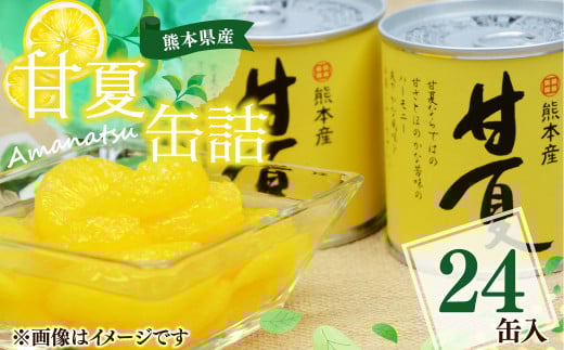 【熊本県産】 甘夏 缶詰 295g×24缶 果物 柑橘 フルーツ熊本県水俣市32000果物・フルーツみかん・柑橘類