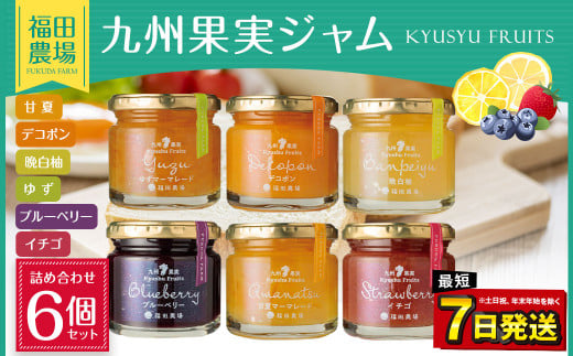 九州 果実 ジャム 詰め合わせ 120g×6個 セット いちご 甘夏熊本県水俣市15000鍋セット・総菜・加工食品ジャム・はちみつ