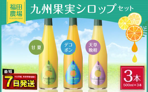 九州 果実 シロップ セット 500ml×3本 甘夏 デコポン 天草晩柑熊本県水俣市12000お茶・飲料果汁・野菜飲料