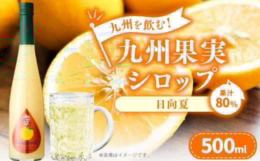 九州を飲む!九州果実 シロップ 日向夏 500ml 1本 約25杯分 フルーツ 果物 ジュース熊本県水俣市7000鍋セット・総菜・加工食品その他 鍋セット・総菜・加工食品