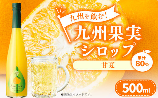 九州を飲む!九州果実 シロップ 甘夏 果物 フルーツ 柑橘 ジュース熊本県水俣市7000お茶・飲料果汁・野菜飲料