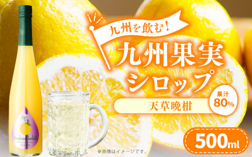 九州を飲む!九州果実 シロップ 天草晩柑 果物 フルーツ 柑橘 ジュース熊本県水俣市7000お茶・飲料果汁・野菜飲料