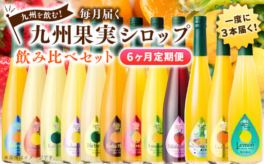 【6ヶ月定期便】 九州を飲む!毎月届く 九州果実シロップ 飲み比べセット 500ml×3本×6回 果物 フルーツ ジュース熊本県水俣市87000お茶・飲料果汁・野菜飲料