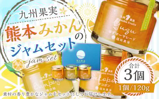 熊本みかんのジャムセット 120g×3個 ジャム 果物 フルーツ 3種類 デコポン 甘夏 晩白柚熊本県水俣市10000鍋セット・総菜・加工食品ジャム・はちみつ