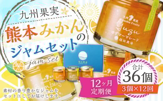 【12ヶ月定期便】熊本みかんのジャムセット(120g×3個)×12回 ジャム 果物 フルーツ 3種類 デコポン 甘夏 晩白柚熊本県水俣市117000鍋セット・総菜・加工食品ジャム・はちみつ
