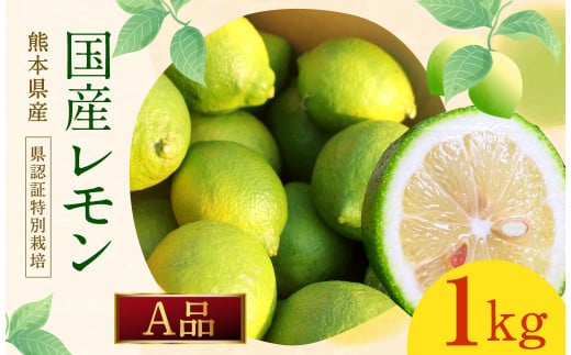 イエローレモン A品 約1kg (県認証特別栽培) 国産 柑橘 果物 フルーツ【2025年12月上旬〜2026年6月上旬迄発送予定】熊本県水俣市6000果物・フルーツみかん・柑橘類