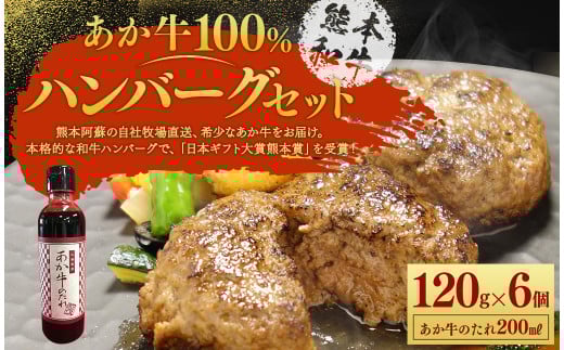 あか牛 100% ハンバーグセット 120g×6個 あか牛のたれ 200ml付き熊本県水俣市18000肉牛肉