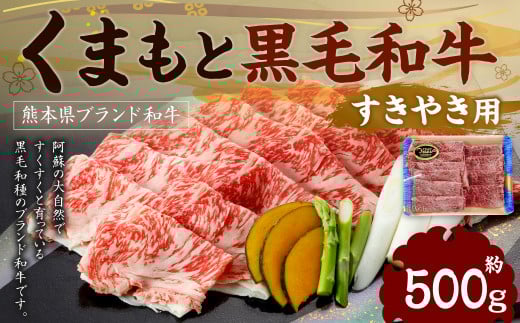 くまもと黒毛和牛 すきやき用 500g×1P熊本県水俣市20000肉牛肉