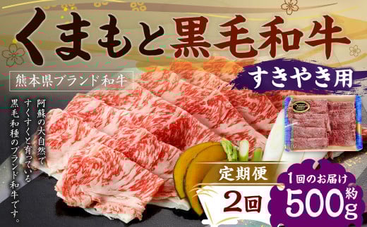 【定期便2回】 くまもと黒毛和牛 すきやき用 500g×1P熊本県水俣市39000肉牛肉