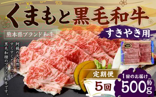 【定期便5回】 くまもと黒毛和牛 すきやき用 500g×1P熊本県水俣市96000肉牛肉